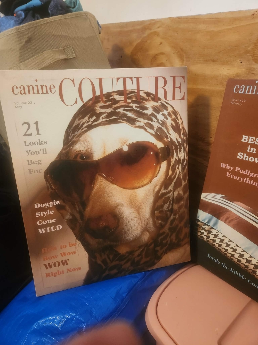 Canine Couture Dog Fashion Poster - Brown & Tan
